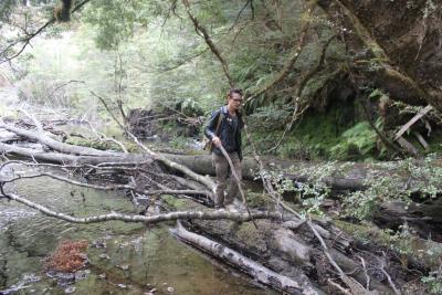 Kepler Track - Lord of the Rings